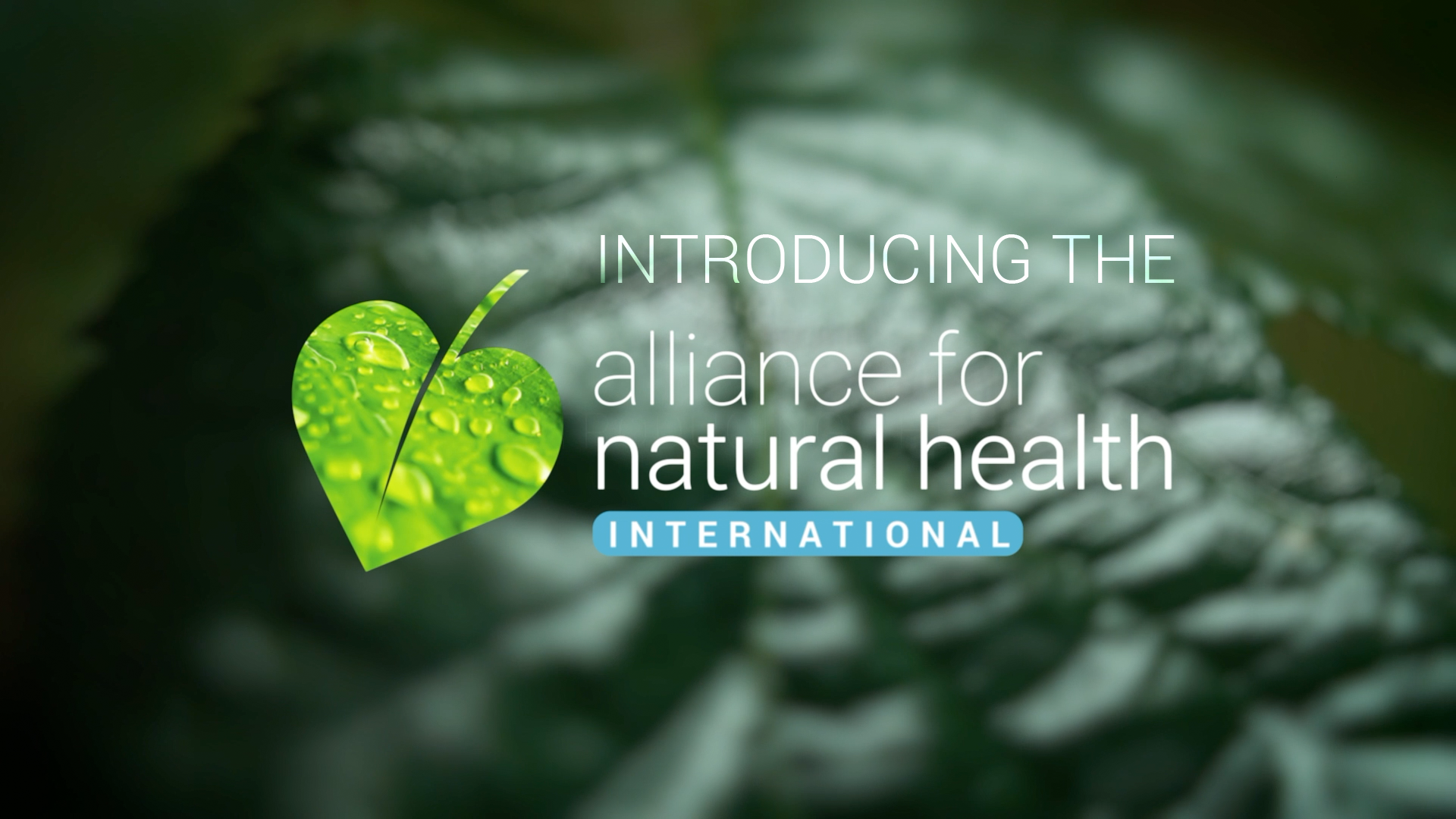 Introducing The Alliance For Natural Health International Alliance For Natural Health